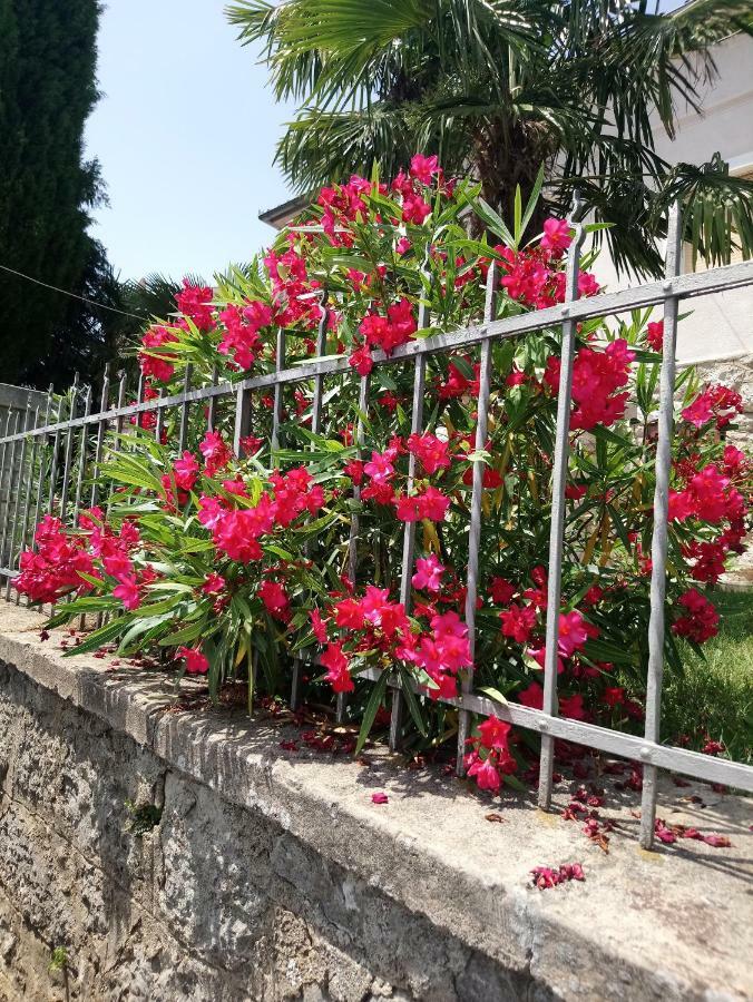 Charming Hill Apartment Opatija Exterior foto